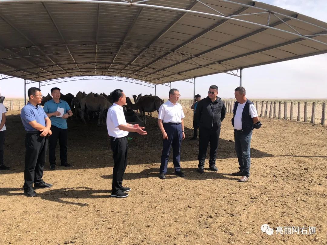 1656990709232801.png 1.png