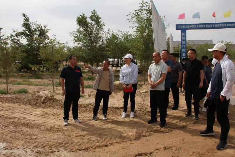 1657262383702568.jpg 8.5.jpg