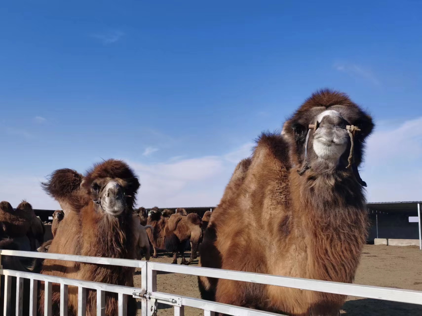 1668681622113707.jpg 微信圖片_20221117183953.jpg