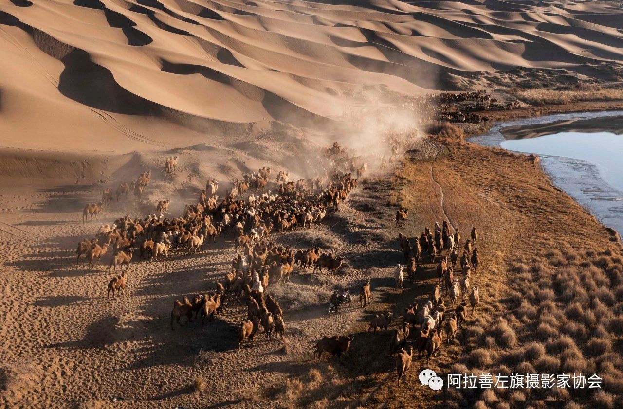 1669860889189946.jpg 121.jpg