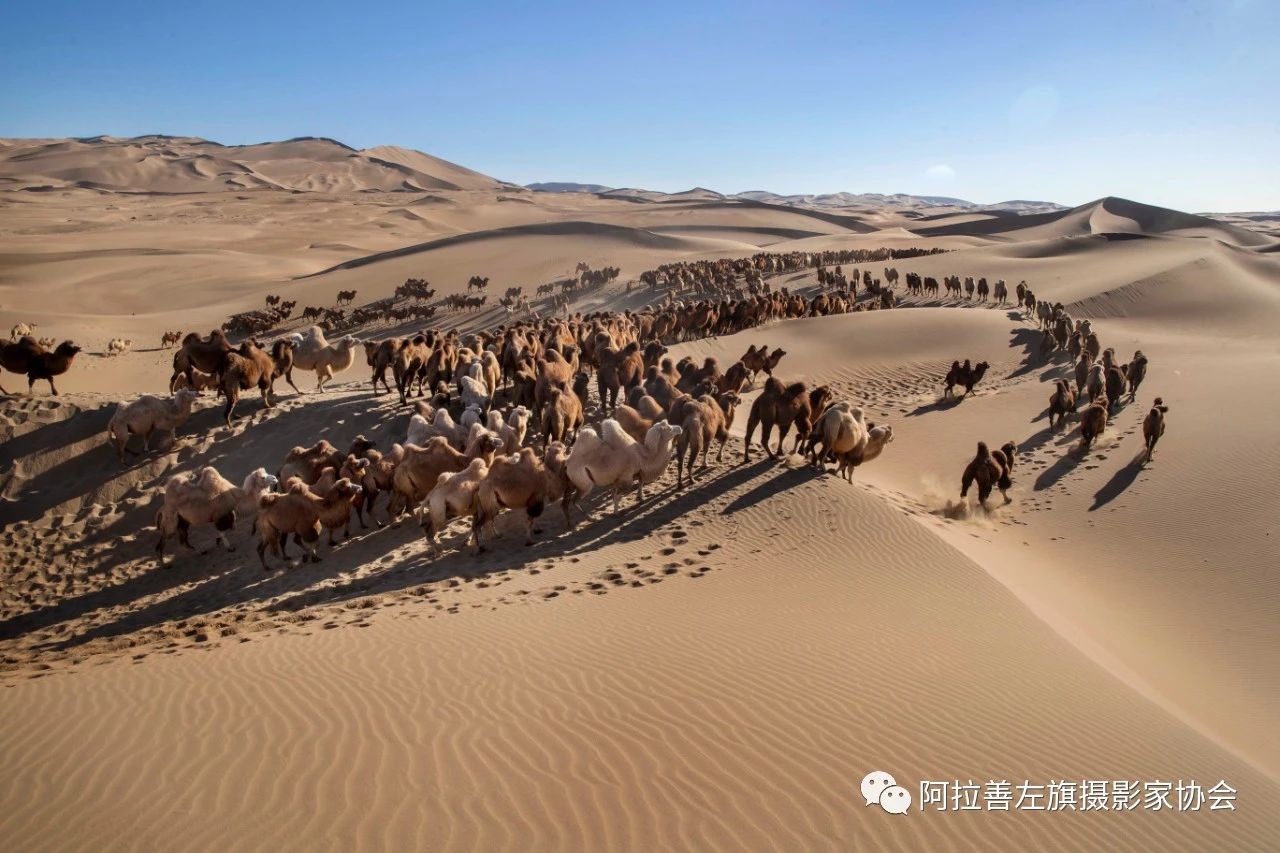 1669860930144895.jpg 122.jpg