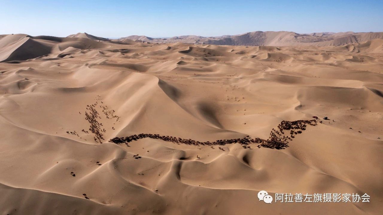 1669860976100218.jpg 123.jpg