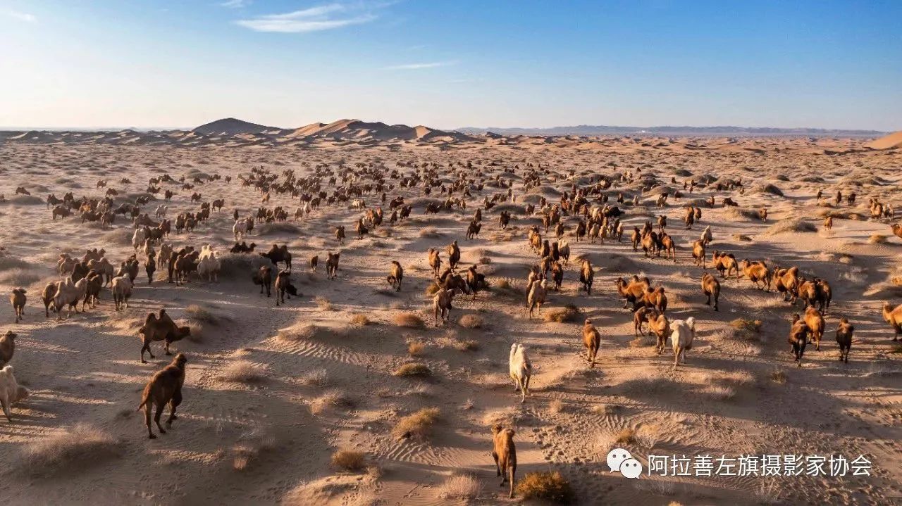 1669861026139963.jpg 124.jpg