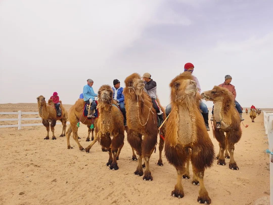 1681455967145618.jpg 微信圖片_20230414150406.jpg