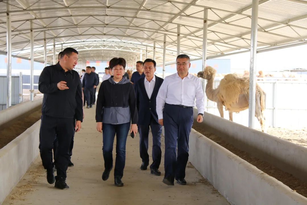 1684303921178198.jpg 微信圖片_20230517141033.jpg