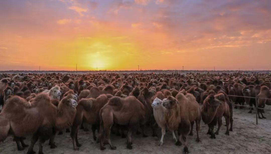 1703142295159323.jpg 微信圖片_20231214172530.jpg