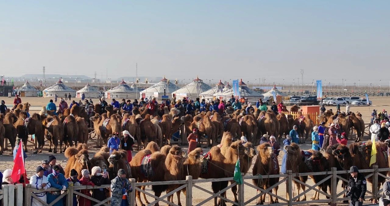 1703754145702567.jpg 微信圖片_20231228161027.jpg