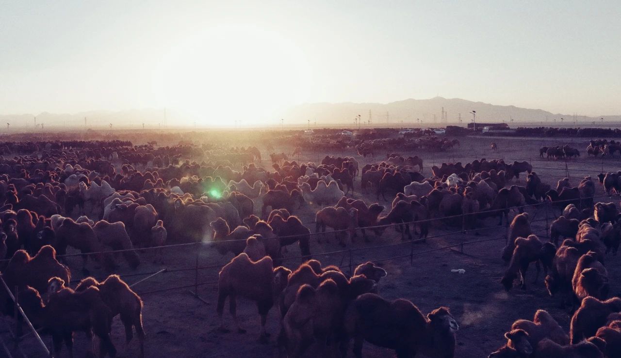 1703754506197433.jpg 微信圖片_20231228161038.jpg