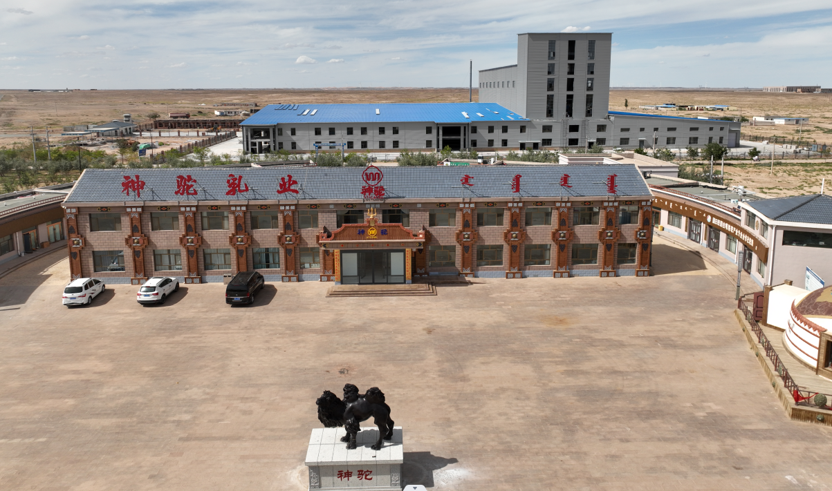 1711086456213031.jpg 1711086440265.jpg