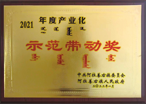 2021年度產(chǎn)業(yè)化示范帶動獎