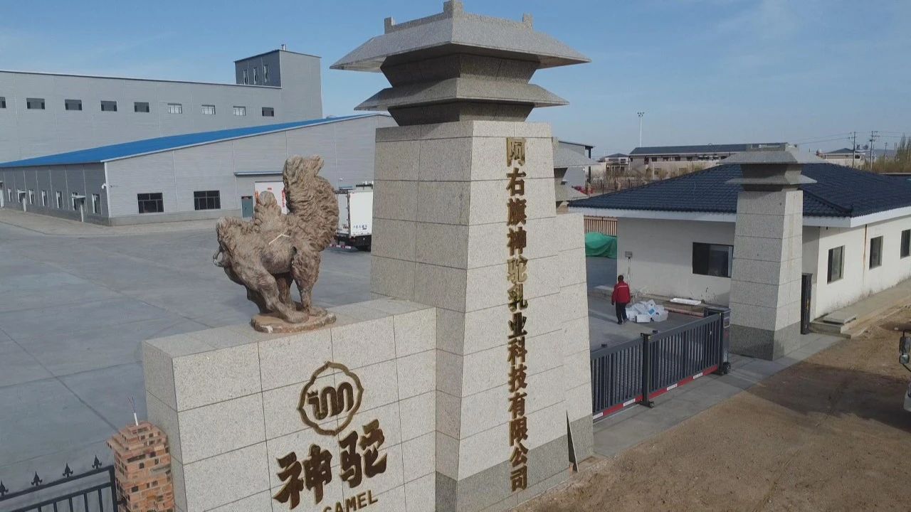 1717640440147253.jpg 微信圖片_20240604162601.jpg