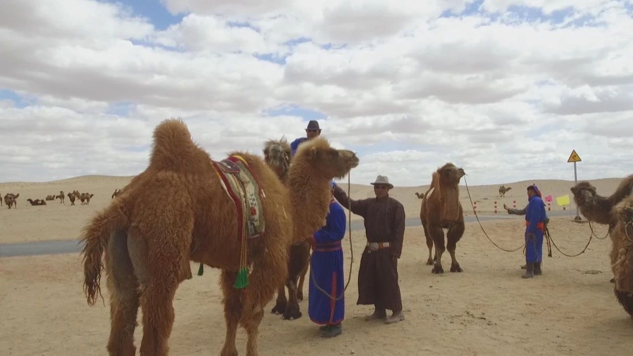 1717640479186815.jpg 微信圖片_20240604162700.jpg