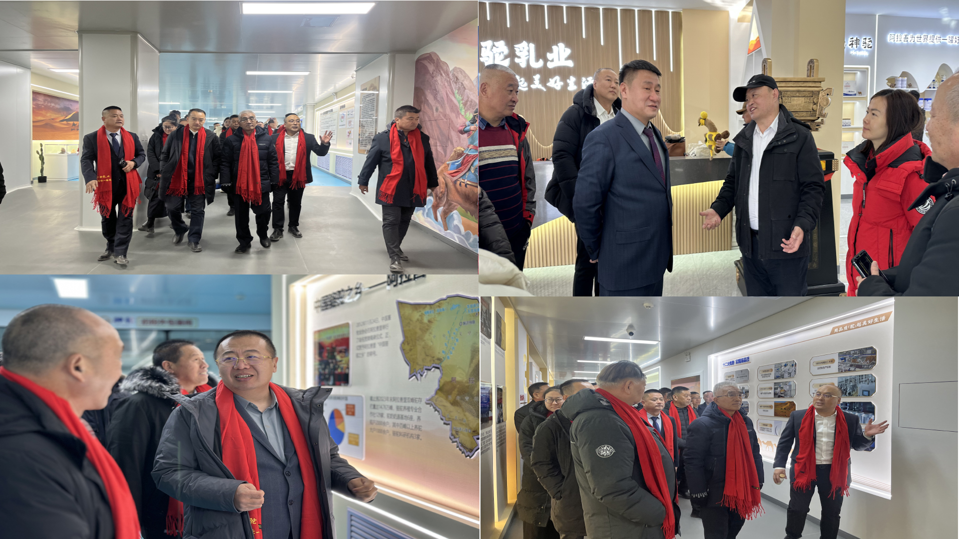 1734594709144297.jpg 未標(biāo)題-3.jpg