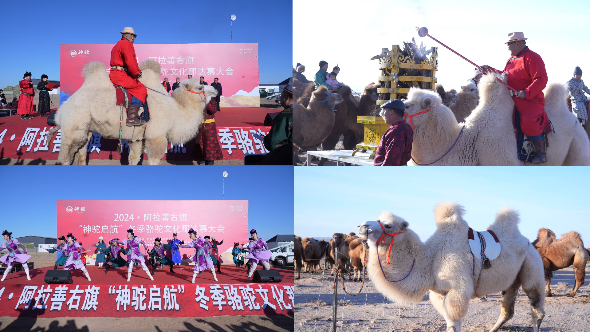 1734594775123356.jpg 未標(biāo)題-1.jpg