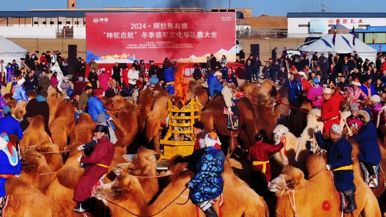 1734675700185655.jpg 微信圖片_20241220134104.jpg