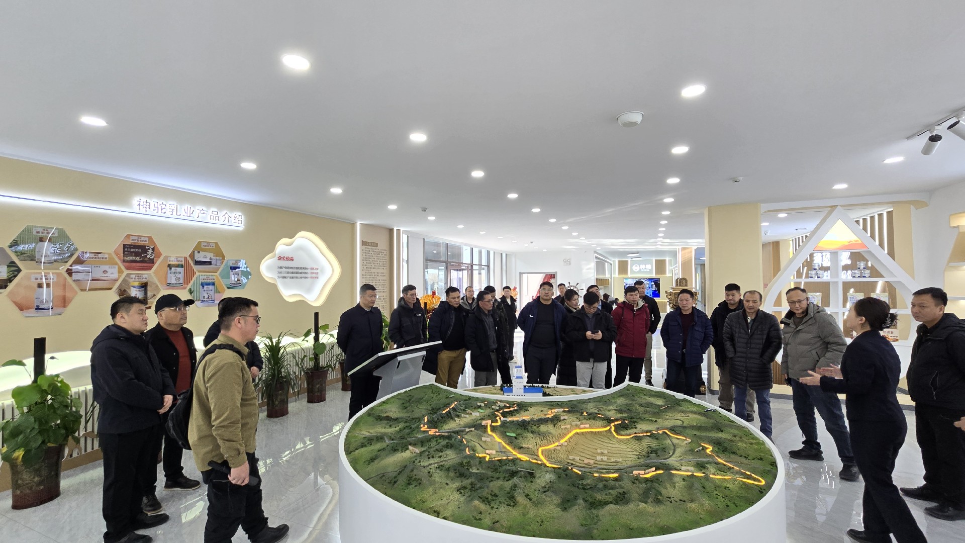 1740640895874801.jpg 微信圖片_20250226145314.jpg