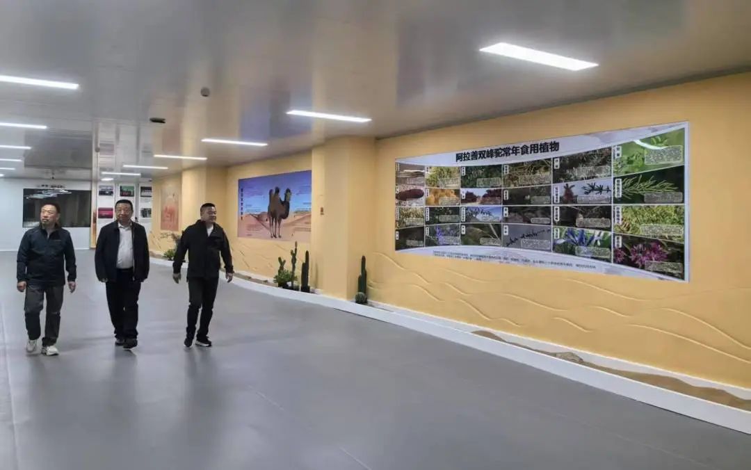 1744705882148517.jpg 微信圖片_20250415162813.jpg