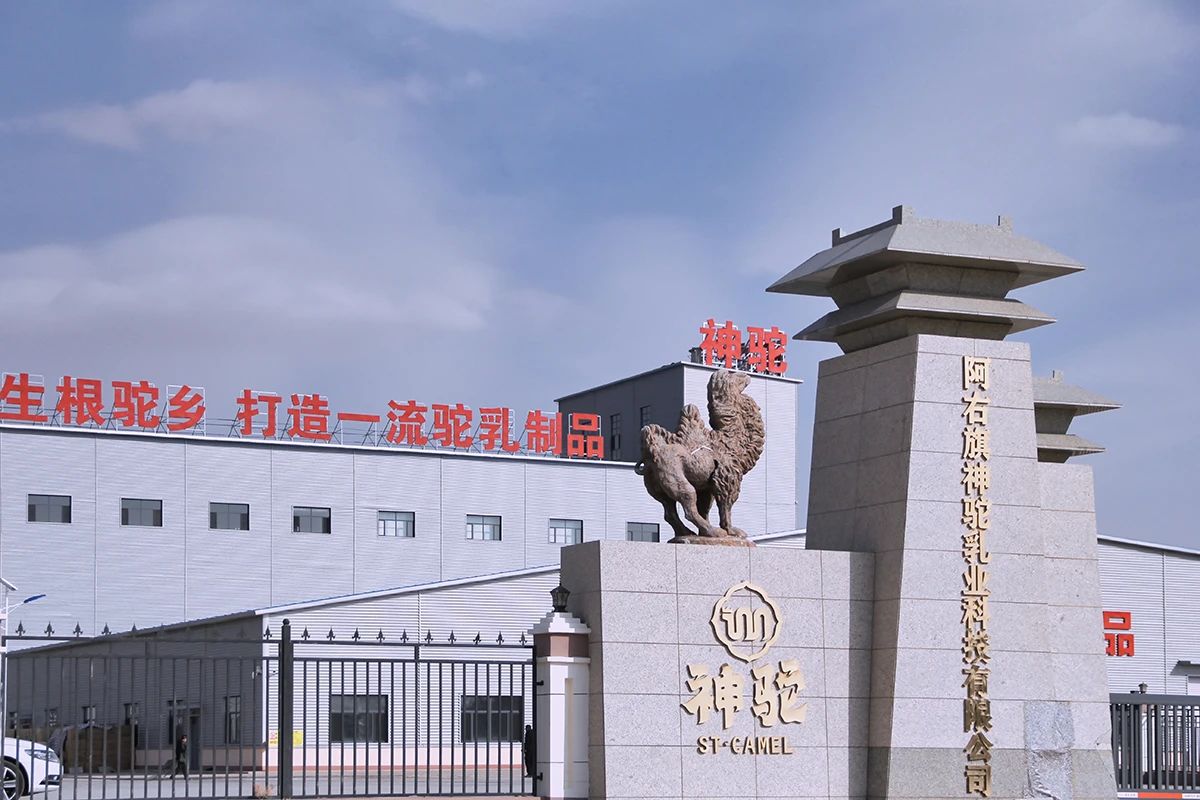 1760926067866747.jpg 1751954931126973.jpg