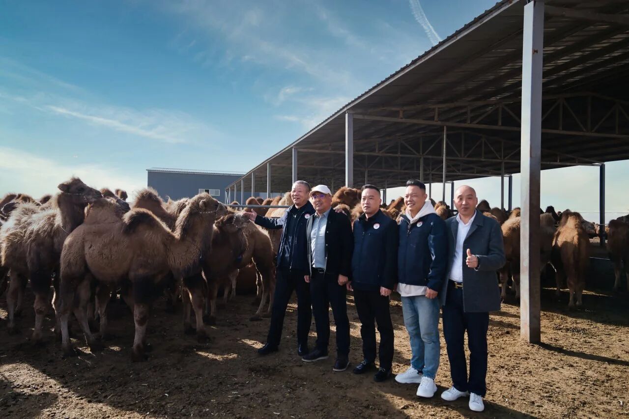 1762498529205835.jpg 微信圖片_2025-11-07_143947_373.jpg