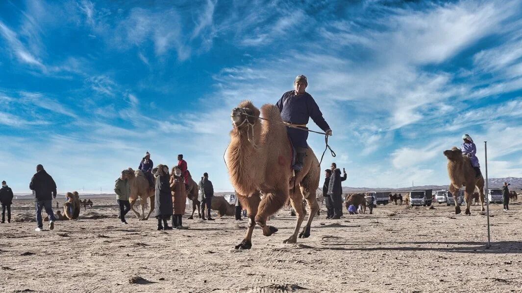 1763114569148417.jpg 微信圖片_2025-11-14_180012_994.jpg